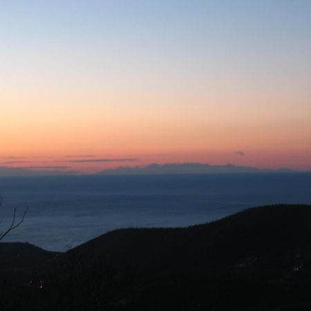 Casa Vacanze L'Agrifoglio Bed & Breakfast Magliolo Dış mekan fotoğraf
