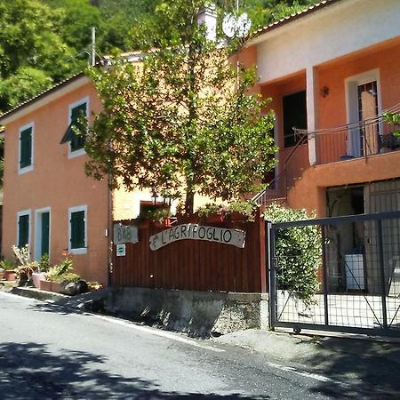 Casa Vacanze L'Agrifoglio Bed & Breakfast Magliolo Dış mekan fotoğraf