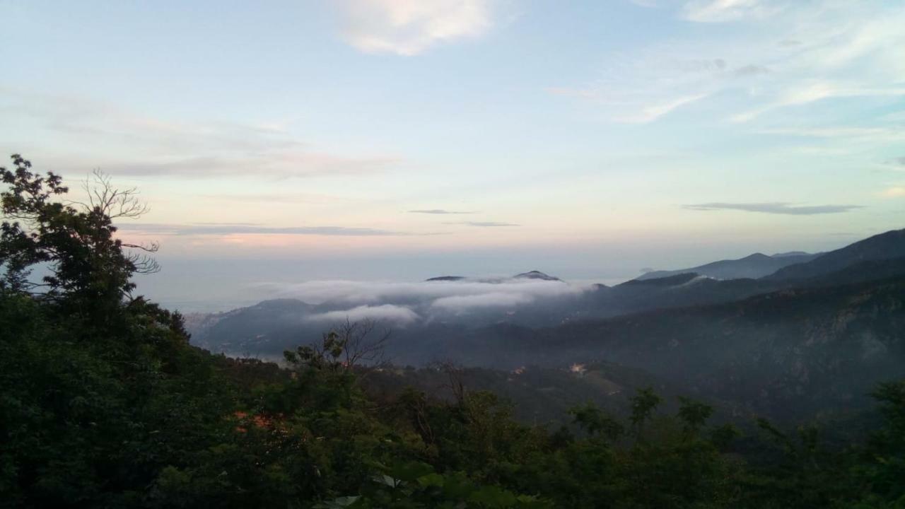 Casa Vacanze L'Agrifoglio Bed & Breakfast Magliolo Dış mekan fotoğraf